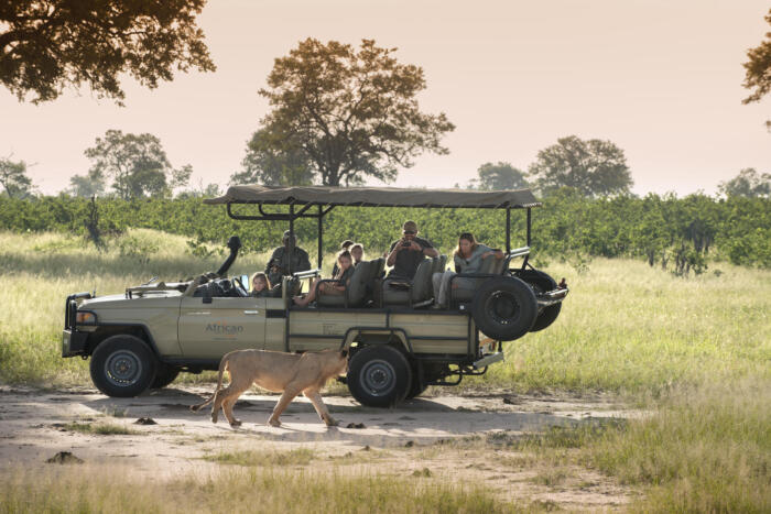 Cedarberg Travel | Somalisa Acacia Camp