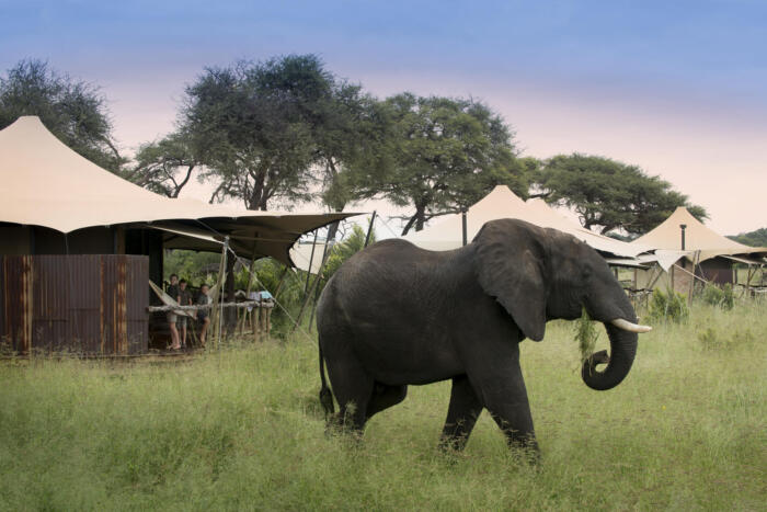 Cedarberg Travel | Somalisa Acacia Camp