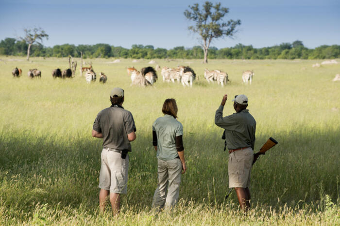 Cedarberg Travel | Somalisa Acacia Camp