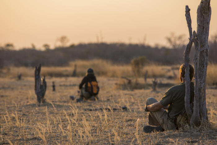 Cedarberg Travel | Mwaleshi Camp