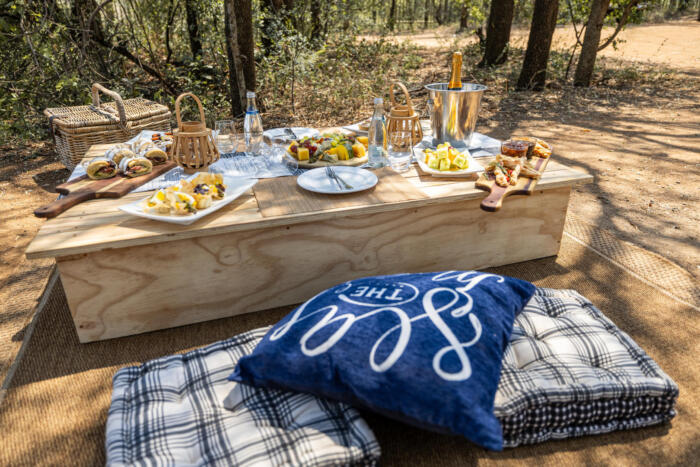 Cedarberg Travel | Ivory Tree Game Lodge