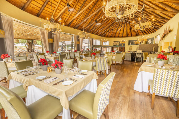 Cedarberg Travel | Ivory Tree Game Lodge