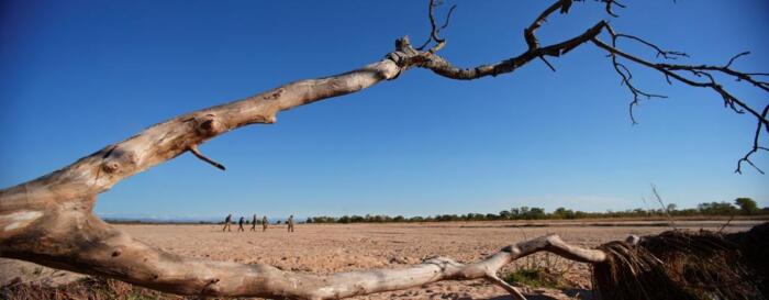 Cedarberg Travel | Nsolo Bush Camp