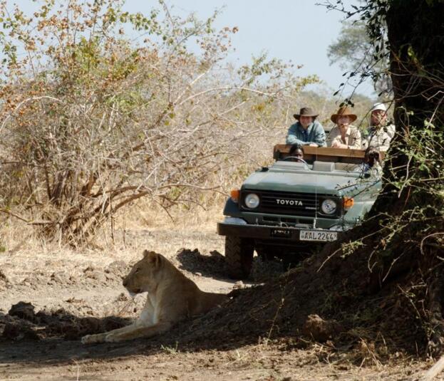 Cedarberg Travel | Nsolo Bush Camp