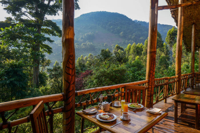 Cedarberg Travel | Mahogany Springs