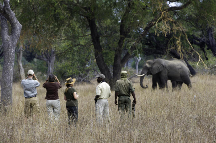 Cedarberg Travel | Mfuwe Lodge