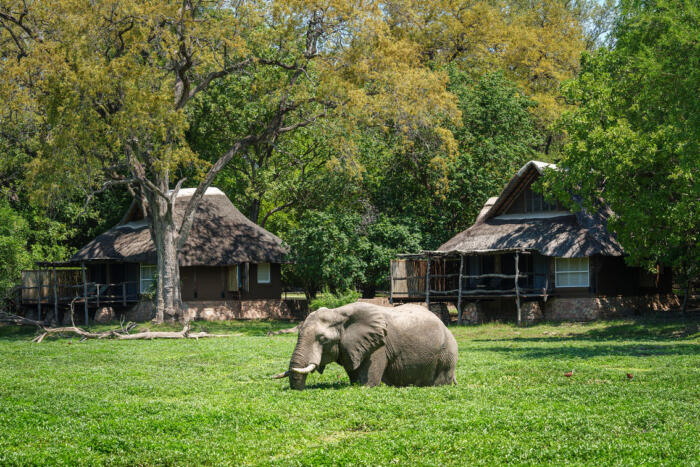 Cedarberg Travel | Mfuwe Lodge
