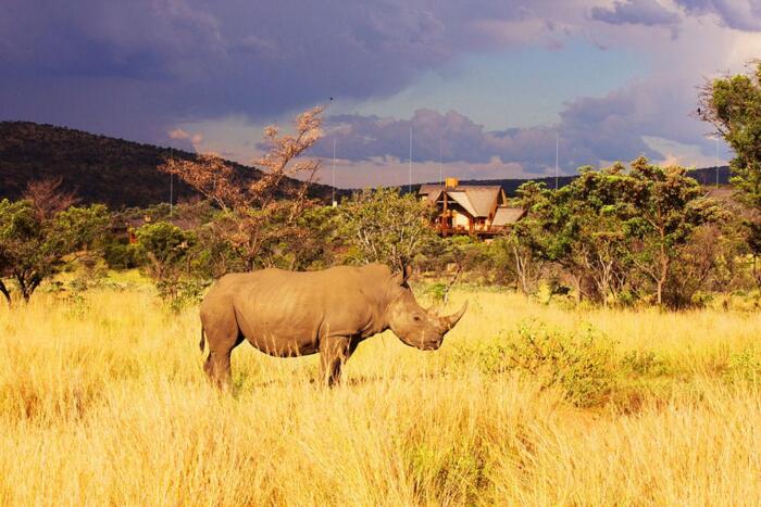 Cedarberg Travel | Kololo Game Reserve