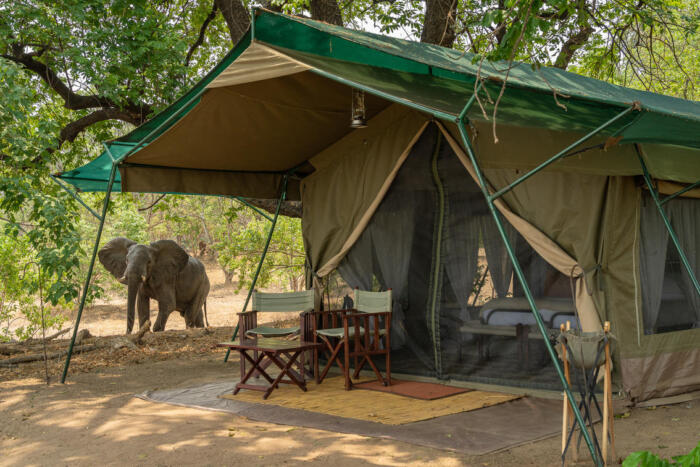 Cedarberg Travel | John's Camp