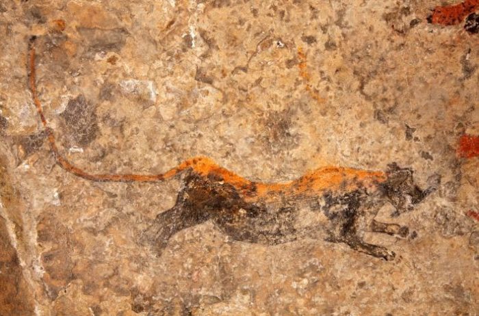 Leopark san rock art in Cederberg