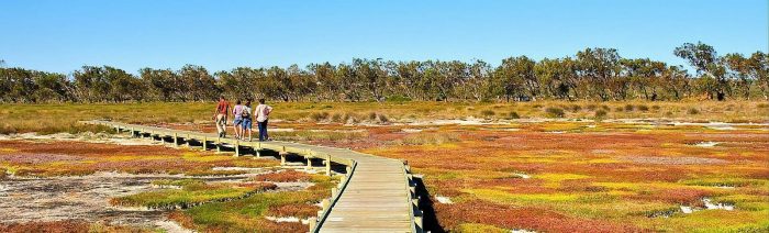 West Coast National Park, Cape West Coast