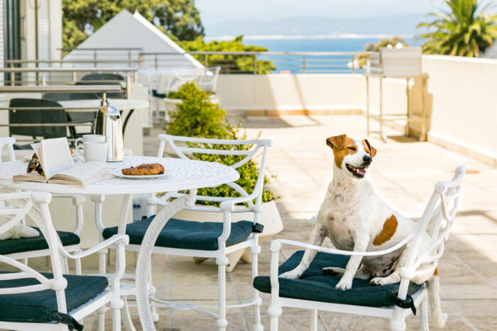 Cedarberg Travel | Harbour House Hotel