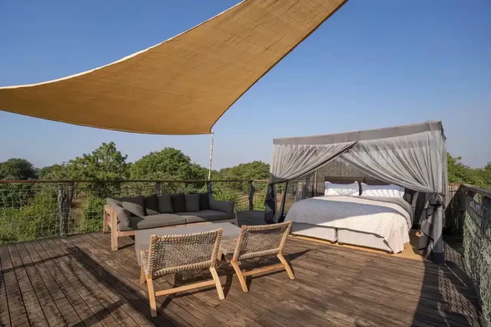 Cedarberg Travel | Chikunto Safari Lodge