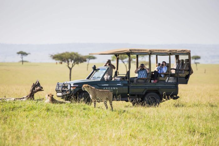 Cedarberg Travel | Angama Mara