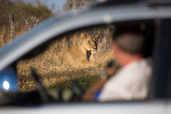 Self drive safaris in africa